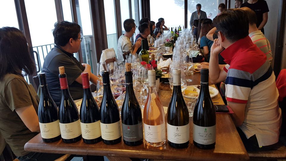 Mt. Etna Private Tour with Food and Wine Tasting - Value at $305.87: what you’re really paying for