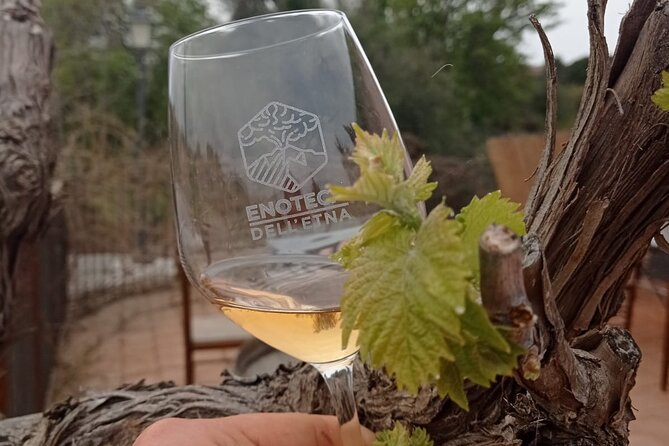 Mt. Etna trekking and Wine tasting - From Syracuse - Grotta dei Tre Livelli: a lava cave you can actually visit