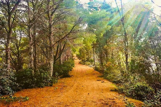 Naturalistic excursion to Ustica - Key highlights