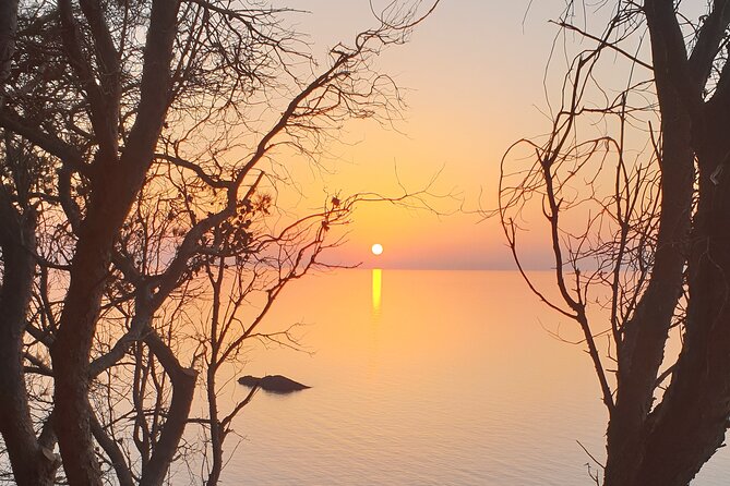 Naturalistic excursion to Ustica - Hugging trees and plant-human vibrations: what to expect