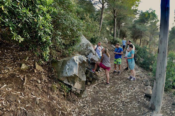 Naturalistic excursion to Ustica - Price and value: what you’re really paying for at $17.35