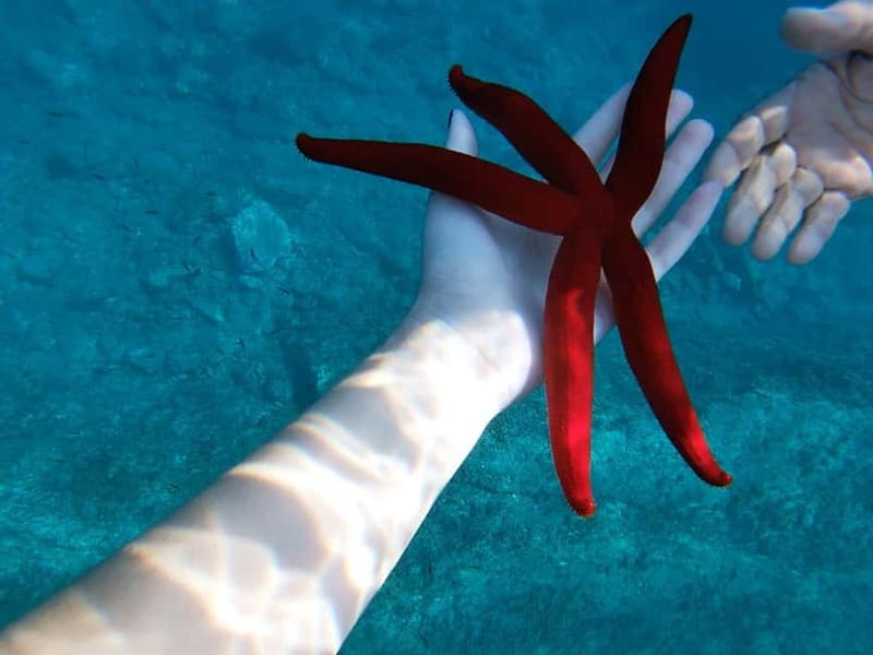Naxos: Taormina Boat Tour with Snorkeling and Prosecco - Your First Hit of Taormina From the Water