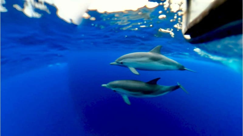 Naxos: Taormina Boat Tour with Snorkeling and Prosecco - The Cave Route: Blue Grotto / Grotta Azzurra and Sea Cave Views