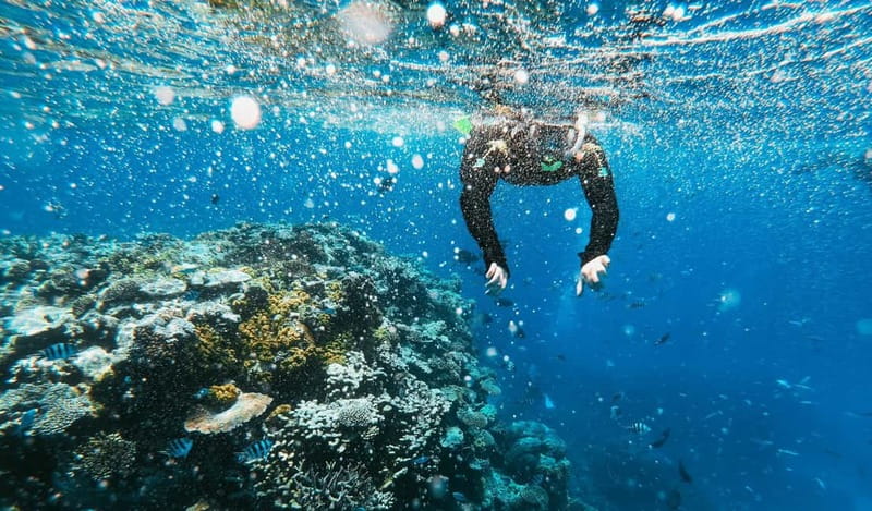 Naxos: Taormina Boat Tour with Snorkeling and Prosecco - Price and Value: Why About $51 Feels Fair Here