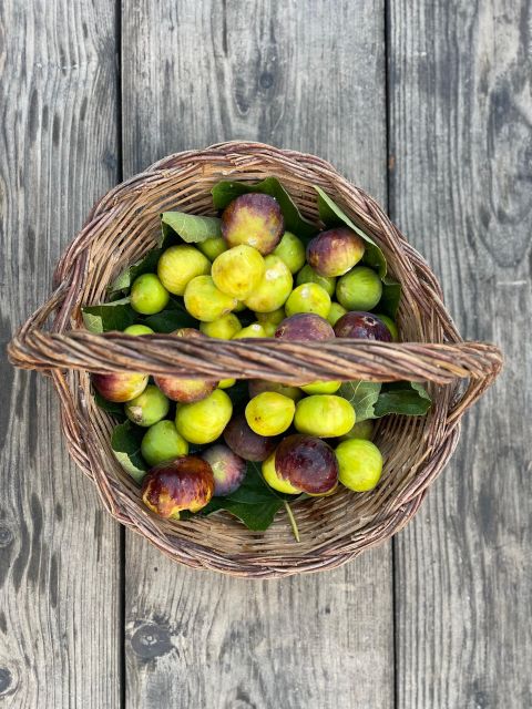 Noto: Farm to Fork in Sicily - Cooking Class in a Farm - Azienda Agricola Tre Fontane: Food taught from the ground up
