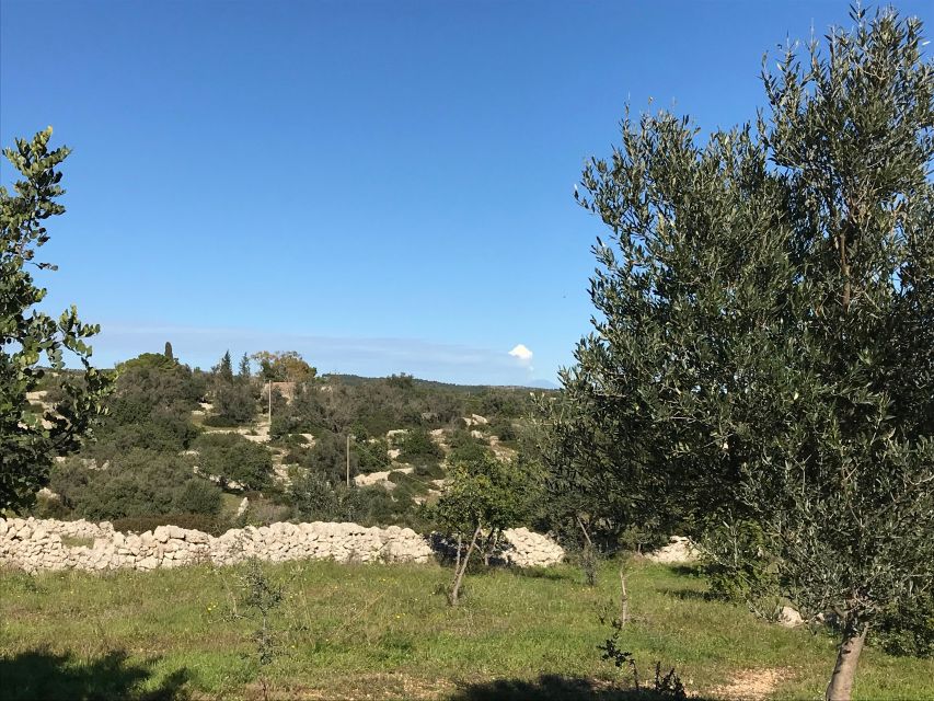 Noto: Farm to Fork in Sicily - Cooking Class in a Farm - Your meal at the end: tasting the farm (and drinking their wine)