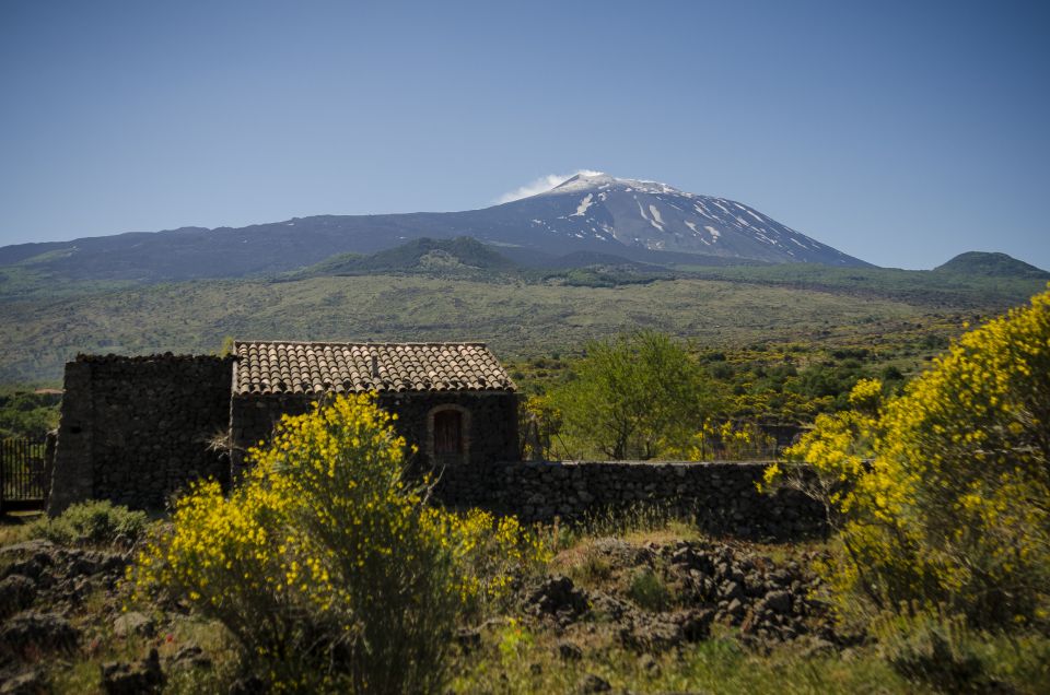 Old Sicily and Etna wine tasting tour from Taormina - Sicily by coach: Etna’s lava scenery in one day