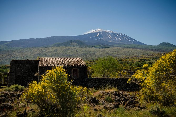 Old Sicily discovery and Etna wine tasting tour from Taormina - Randazzo’s Basilica di Santa Maria: the lava-stone stop that pays off