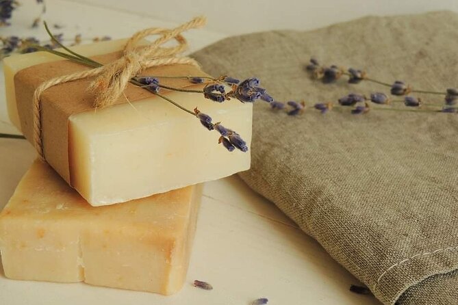 Olive harvest, visit to the oil mill and typical lunch - Key highlights you’ll feel right away
