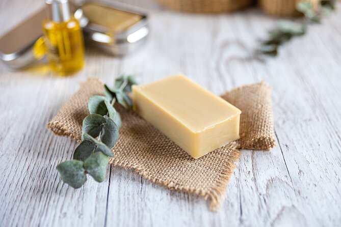 Olive harvest, visit to the oil mill and typical lunch - Inside the Oil Mill: From Pressing to the Oil You’ll Taste