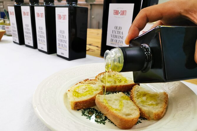 Olive harvest, visit to the oil mill and typical lunch - Price and Value: What $120.41 Buys You