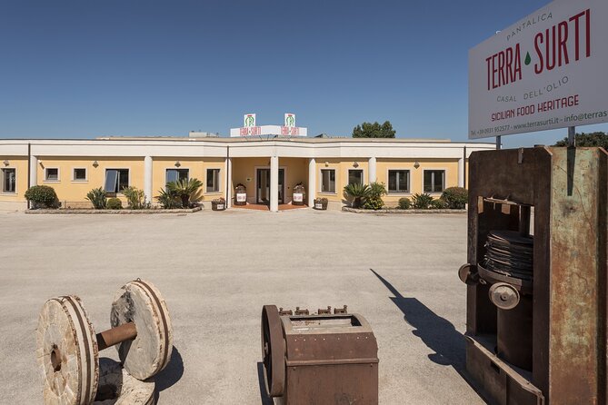 Olive harvest, visit to the oil mill and typical lunch - Timing, Season, and Who This Tour Suits Best