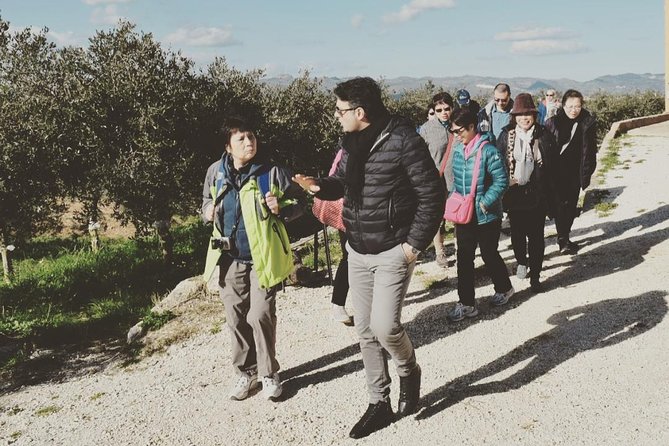 Olive Oil Experience - Key things to look for