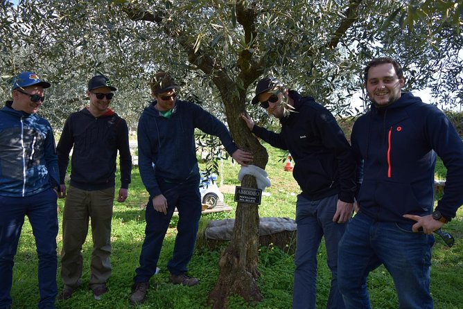 Olive Oil Experience - Lunch Pairing in Sicily: Why the Food Feels Like Part of the Lesson