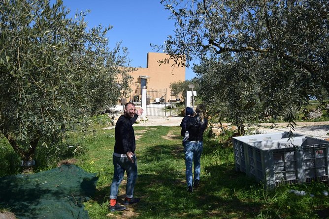 Olive Oil Experience - Practical Tips Before You Go