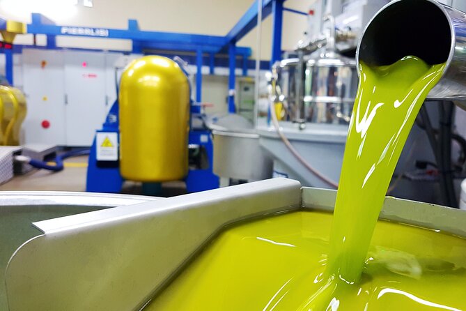 Olive Oil Tasting & Historic Olive Mill Tour in Ragusa area - Oleificio Gulino olive mill tour: a focused 1-hour plan