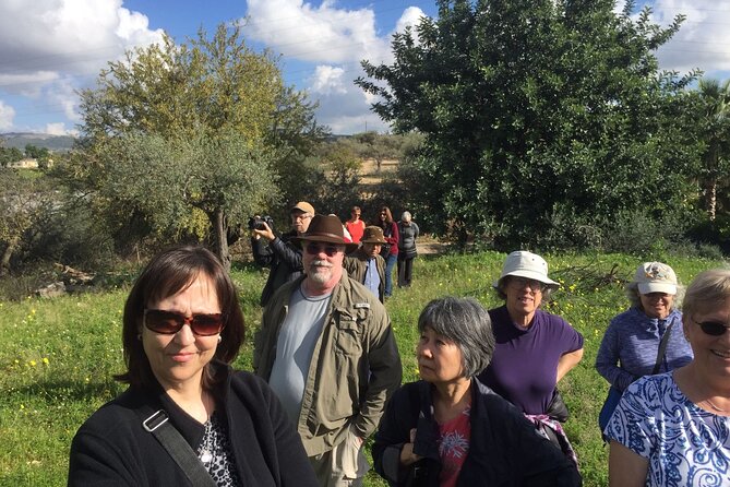 Olive Oil Tasting & Historic Olive Mill Tour in Ragusa area - Bread, oregano from Monti Iblei, and sea salt: why the pairings are smart