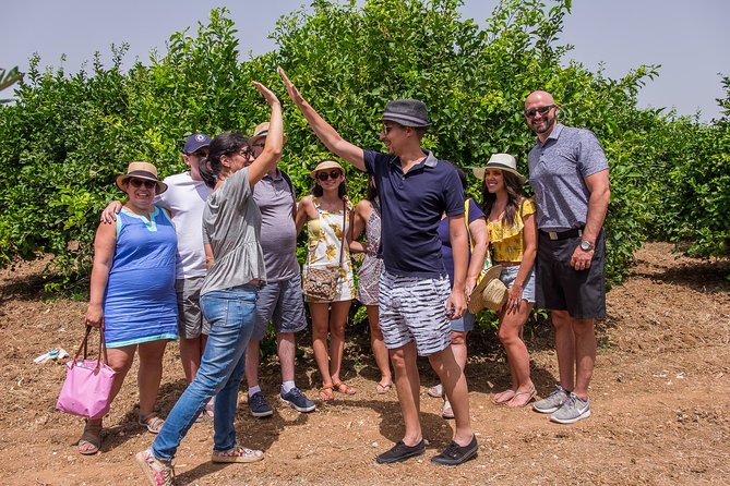 Olive oil tasting in Syracuse, Sicily - Evoo Tour - Learning to taste without getting technical
