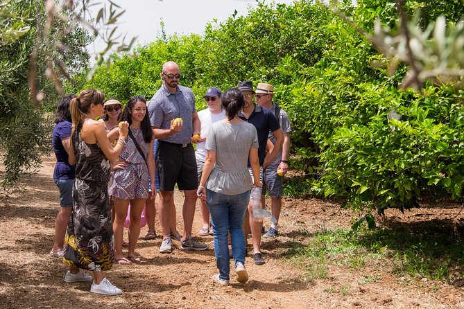 Olive oil tasting in Syracuse, Sicily - Evoo Tour - Price and value: is $96.11 for 1 hour fair?