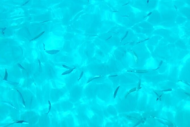 One and a half hour boat excursion to Scala Dei Turchi - What You Pay: Price, Inclusions, and Value at $48.19