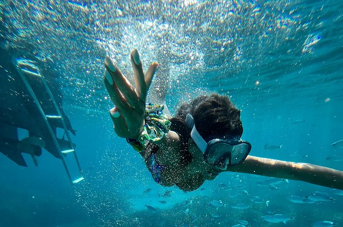 One Day Guided Boat Tour in Trapani with Snorkeling - Price and Value: Is $136.10 Worth It?