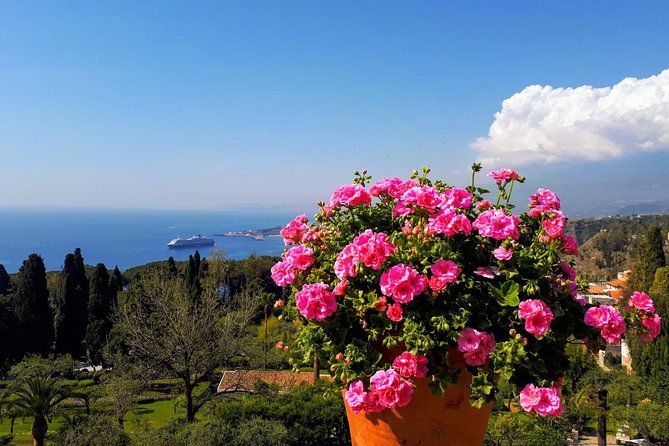 One Day Sicily Tour fom Malta - Mount Etna: short time, big power