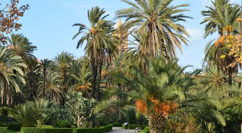 Palermo: Art and Architecture Walking Tour - Key things to know before you go