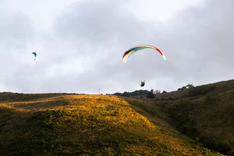 Palermo: paragliding flight with instructor foto and video - Key highlights worth knowing before you book