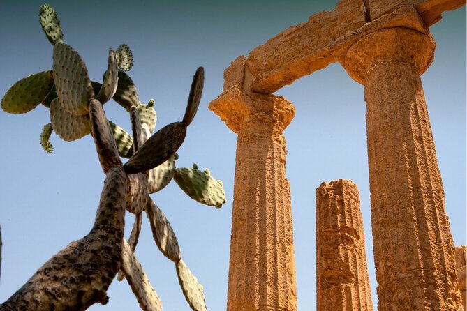Palermo to Siracusa: stop at Valley of Temples & Roman Villa - Walking the Via Sacra: what to aim for without feeling rushed