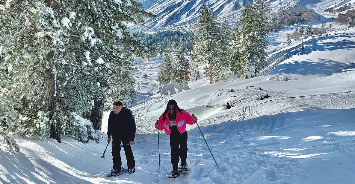 Piano Provenzana: Guided Mt. Etna Snowshoeing Trek - Key Highlights You’ll Actually Notice
