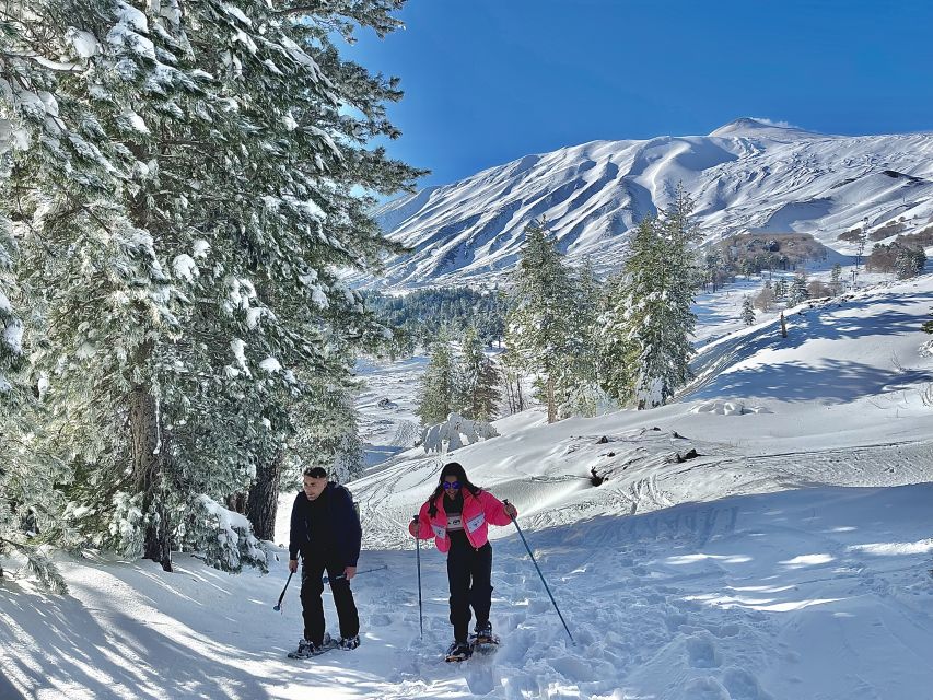 Piano Provenzana: Guided Mt. Etna Snowshoeing Trek - Entering the Etna North World: Piano Provenzana Starts at 1,800 m