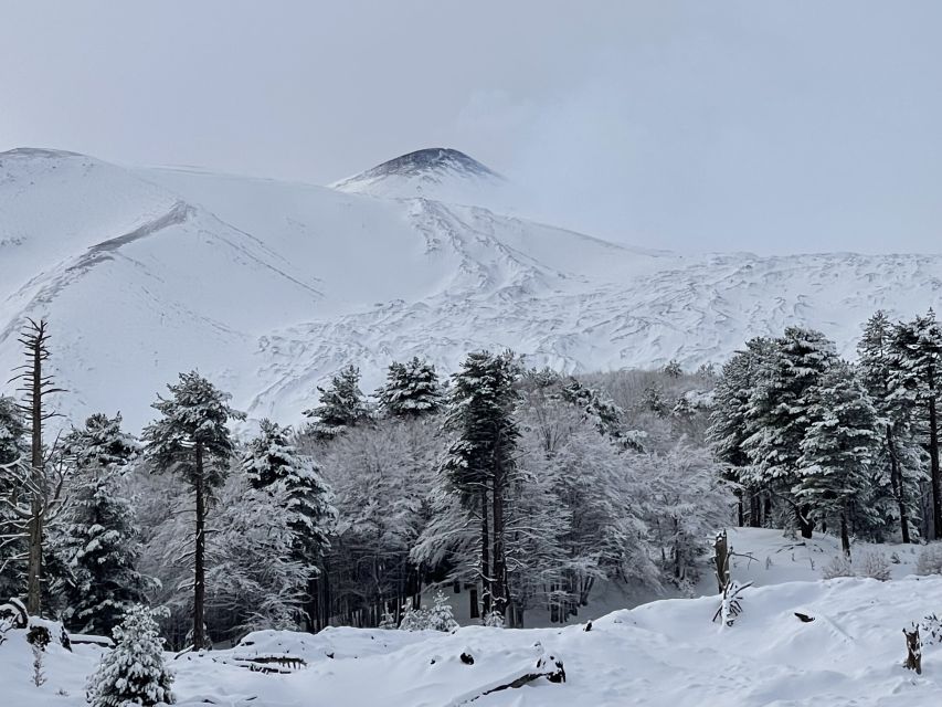 Piano Provenzana: Guided Mt. Etna Snowshoeing Trek - The Snow-to-Lava Transition: What Makes Etna Look Different