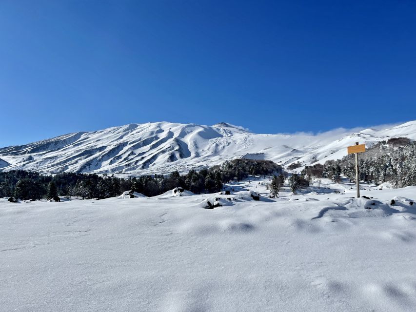 Piano Provenzana: Guided Mt. Etna Snowshoeing Trek - Sea Views in Winter Clarity: Giardini Naxos, Taormina, and Calabria