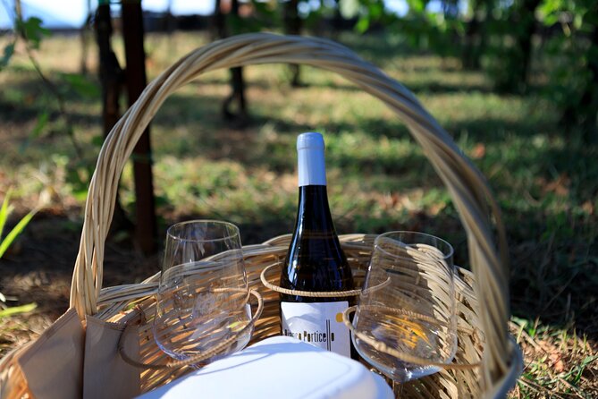 Pic-nic in the vineyard - Key things to notice before you go