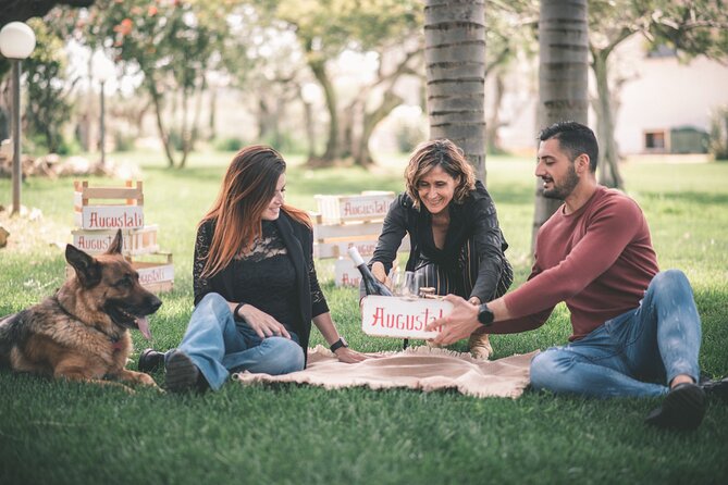 Picnic on the lawn -aromatic garden and winery - Getting to Farm Augustali: a simple start with one important check