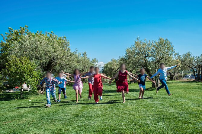 Picnic on the lawn -aromatic garden and winery - Vineyard and olive grove walk: what you’ll notice along the way