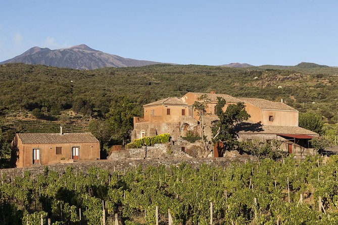Private 6-Hour Tour of Three Etna Wineries with food&wine tasting - Stop 2: More Wines, a Tagliere, and Pasta That Feels Like Part of the Show