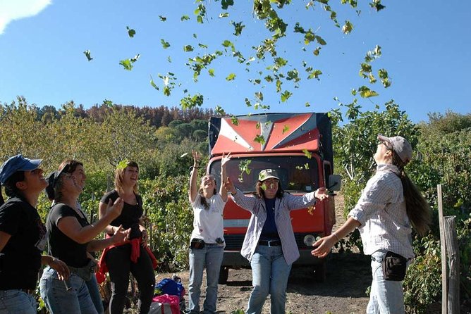 Private 6-Hour Tour of Three Etna Wineries with food&wine tasting - The Wine Amount: Expect Ten Tastings and a Day That Adds Up