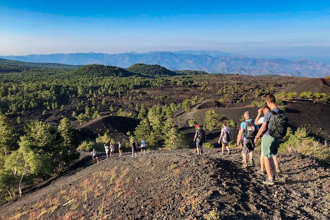 Private and Guided Tour on Etna with Wine Tasting included - Optional Funivia to 2500m: The Extra Lift (and the Extra Cost)