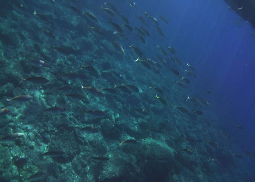 Private Boat Tour Isola Bella Taormina Giardini Naxos - Isola Bella stop: Marine Park swim plus wine-time calm