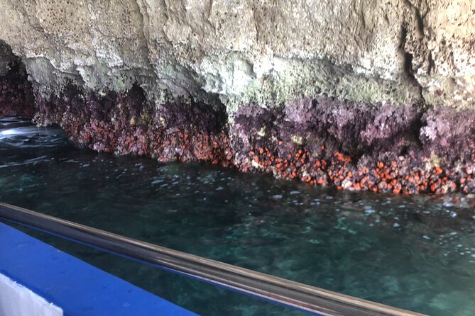 Private boat tour with prosecco and fresh fruit - Arethusa spring from the outside: a quick stop with big context