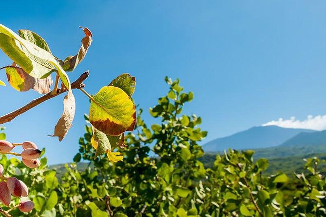 Private Etna tour and pistachio lunch in a pistachio farm - Stop 1: Mt. Etna, Where You See Old and New Lava