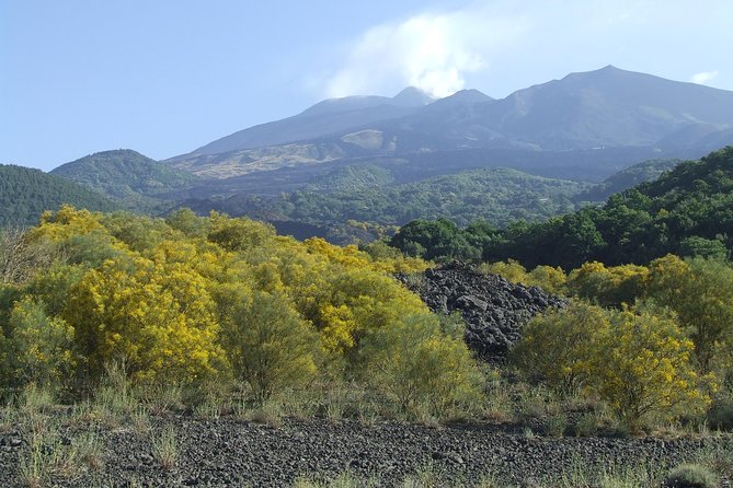 Private Etna tour from Messina Cruise Terminal+ Lunch at Winery - Base of Etna: honey tastings and lava-made souvenirs