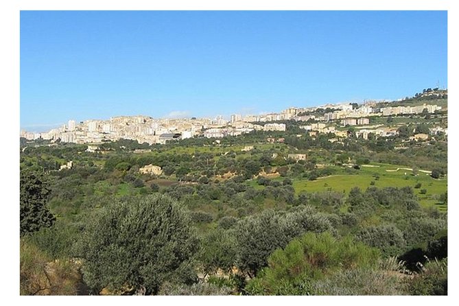 Private Full-Day Tour of Agrigento and Piazza Armerina - Morning pickup in Catania and how the day actually moves