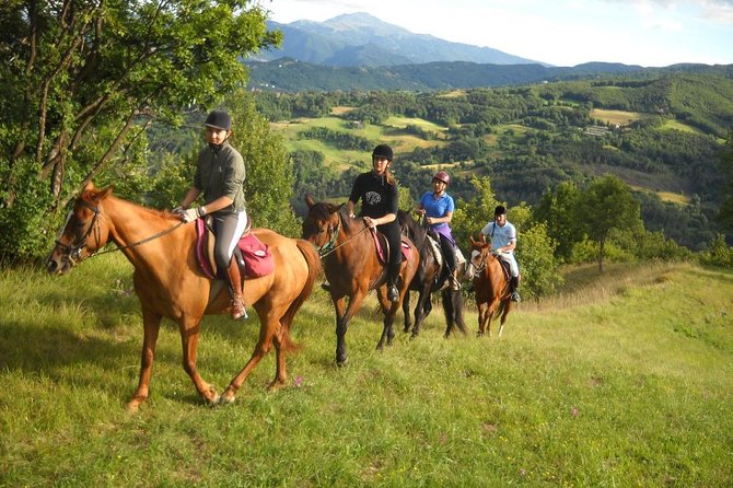 Private Horseback Riding Tour on Etna Area + Traditional Lunch - What This Private Etna Horse Tour Is Really Like