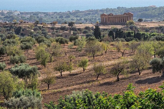 Private Tour Agrigento Valley of the Temples Park and Scala Dei Turchi - Why Driver Gabriele Matters More Than You Think
