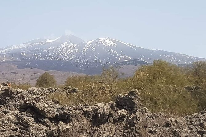 Private Tour from Catania to Etna Naxos and Taormina - How the guide experience elevates the day