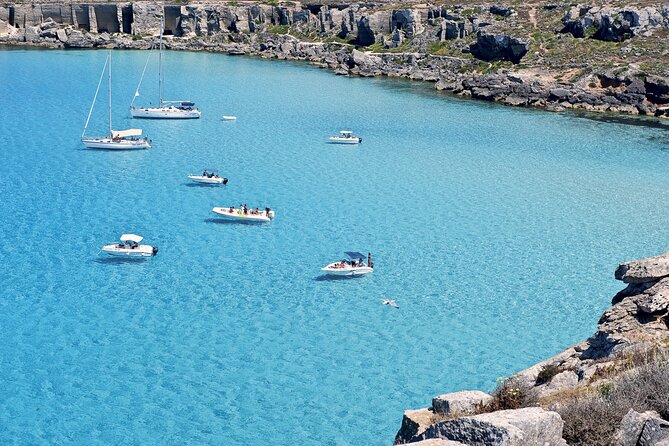 Private Tour Half Day Boat Trip in Favignana from Trapani - Who this tour suits best—and who might want a different plan