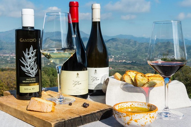 Private tour of Etna and Winery Visit with Food and Wine Tasting from Taormina - Private Etna Day From Taormina: The Best Reasons to Do It