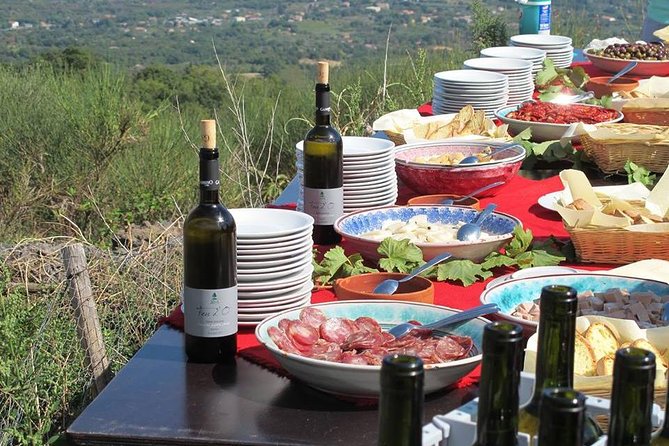 Private tour of Etna and Winery Visit with Food and Wine Tasting from Taormina - The Etna Winery: Lunch, Cellars, and Red + White Tasting